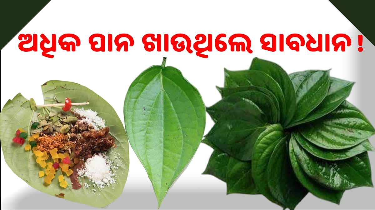 Betel Leaf