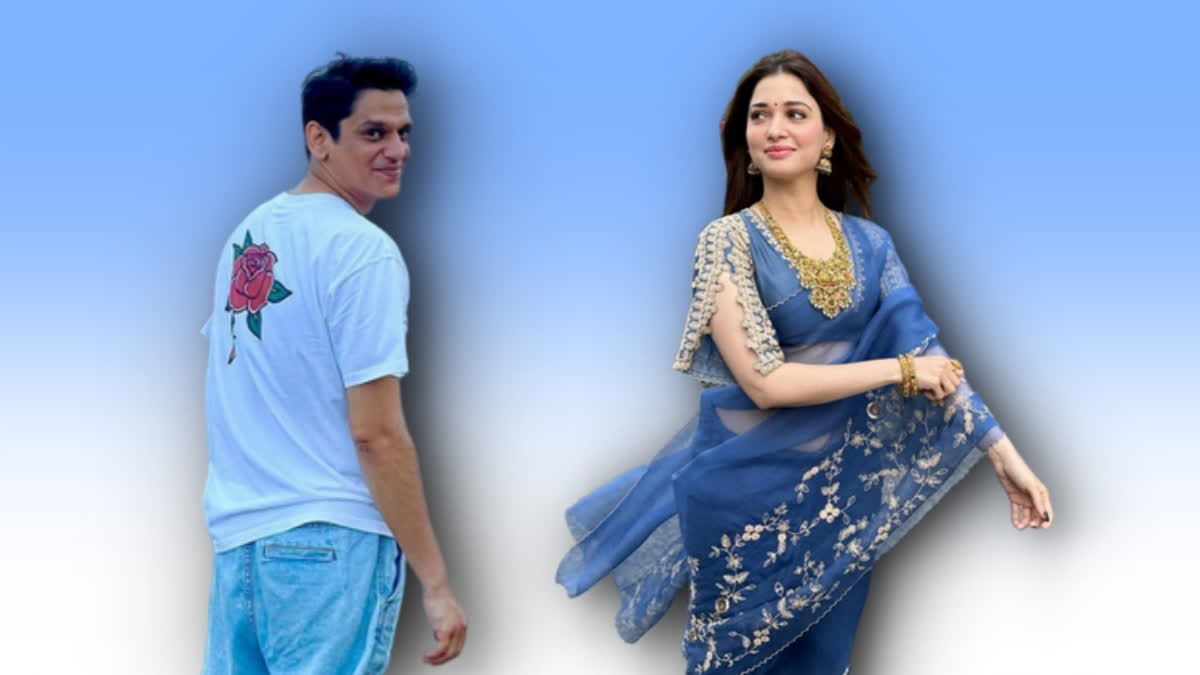 Tamannaah likes Vijay Varma