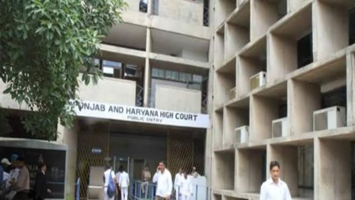 punjab haryana high court