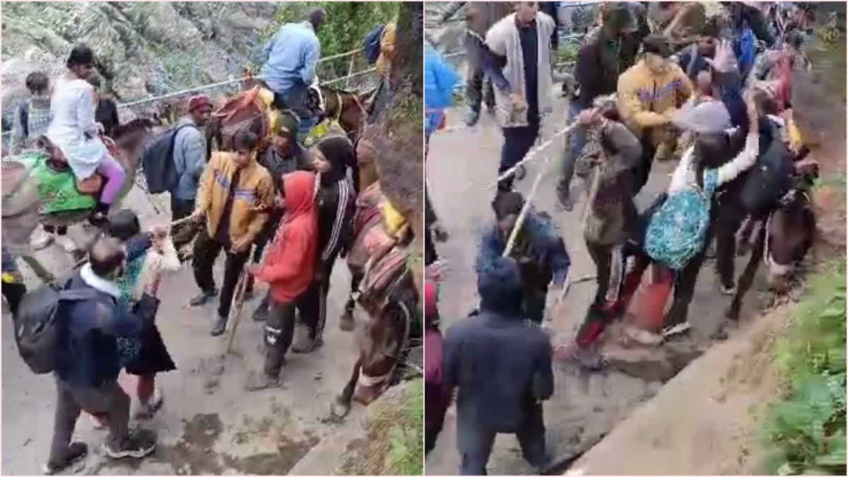 kedarnath yatra