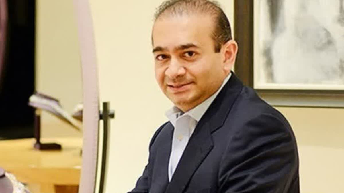 Nirav Modi Bank Fraud Case