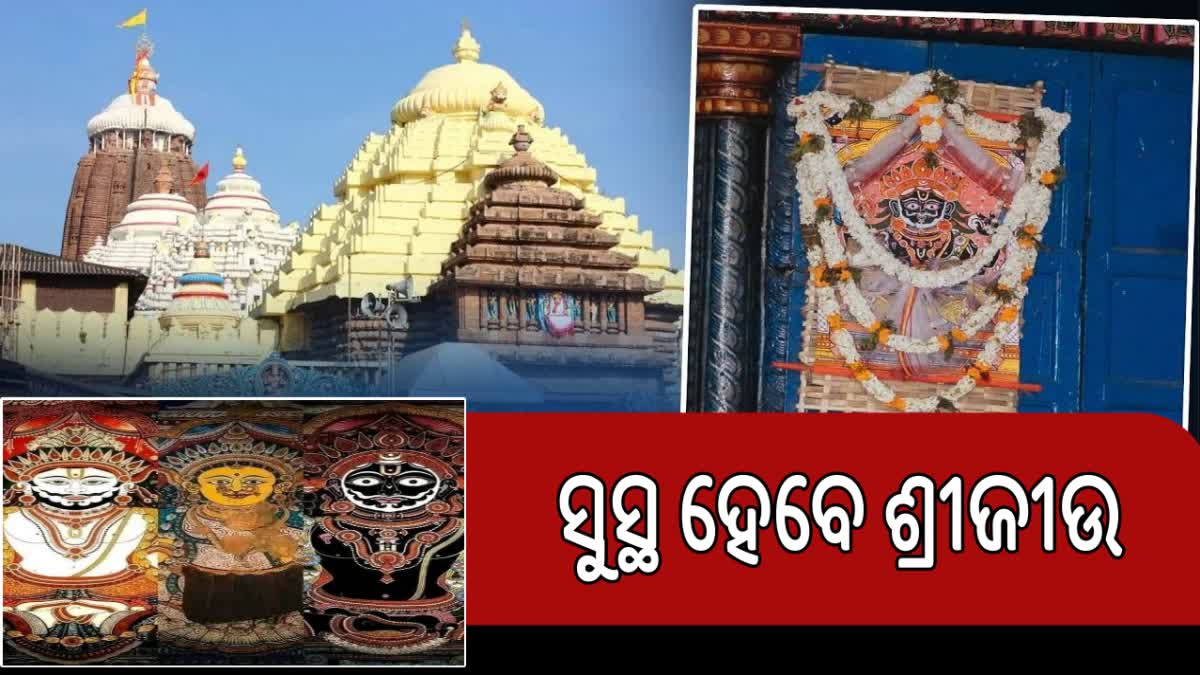 ଦଶମୂଳ ମହୌଷଧି ସେବନ ପରେ ସୁସ୍ଥ ହେବେ ଶ୍ରୀଜିଉ