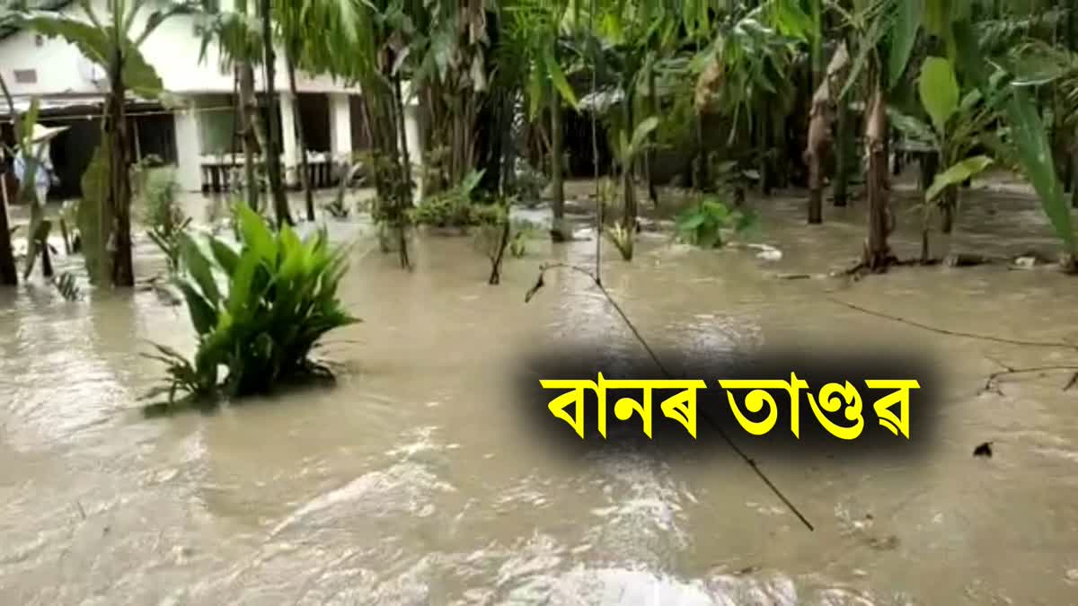 Flood In Lakhimpur