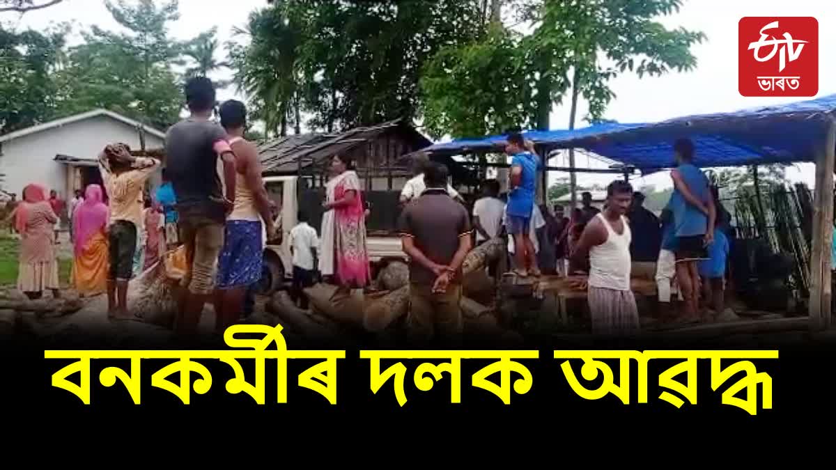 Seized illegal timber mills at Nagaon