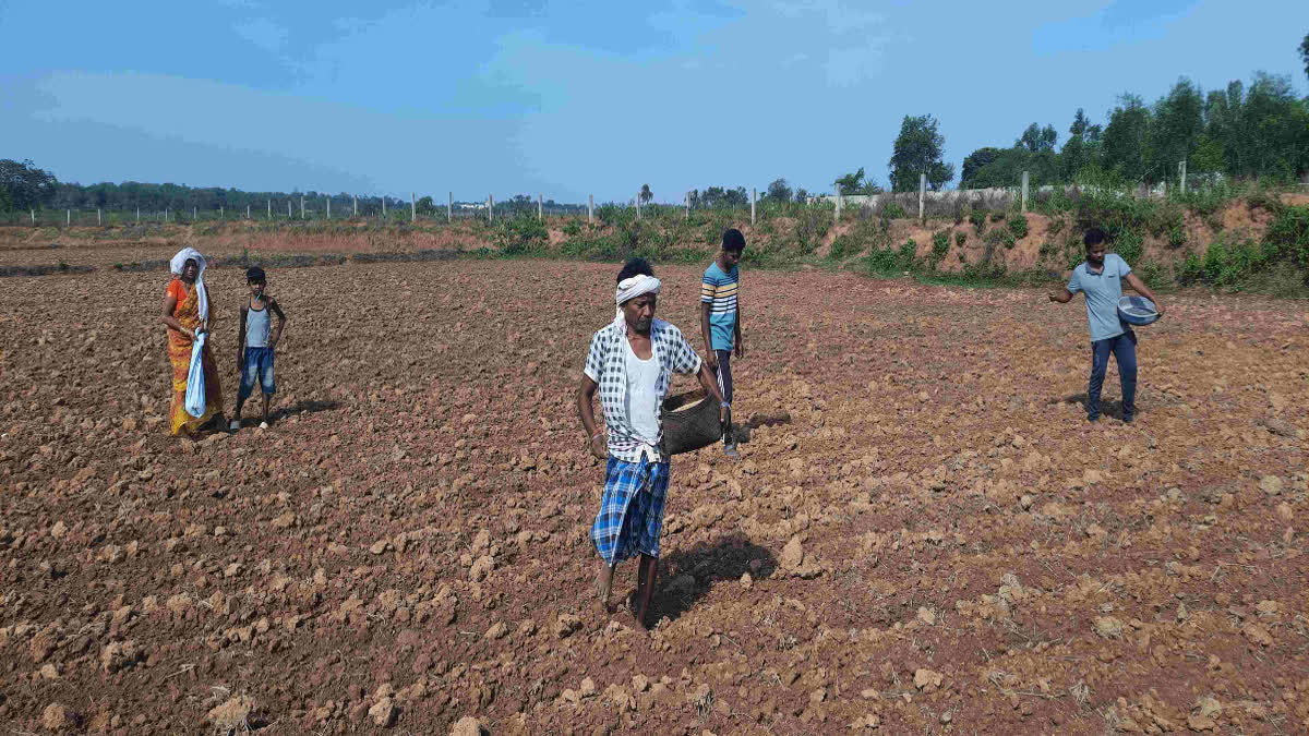 Loss of farmers due to Patwari strike in bastar