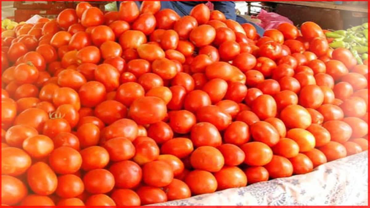 Tomato Price