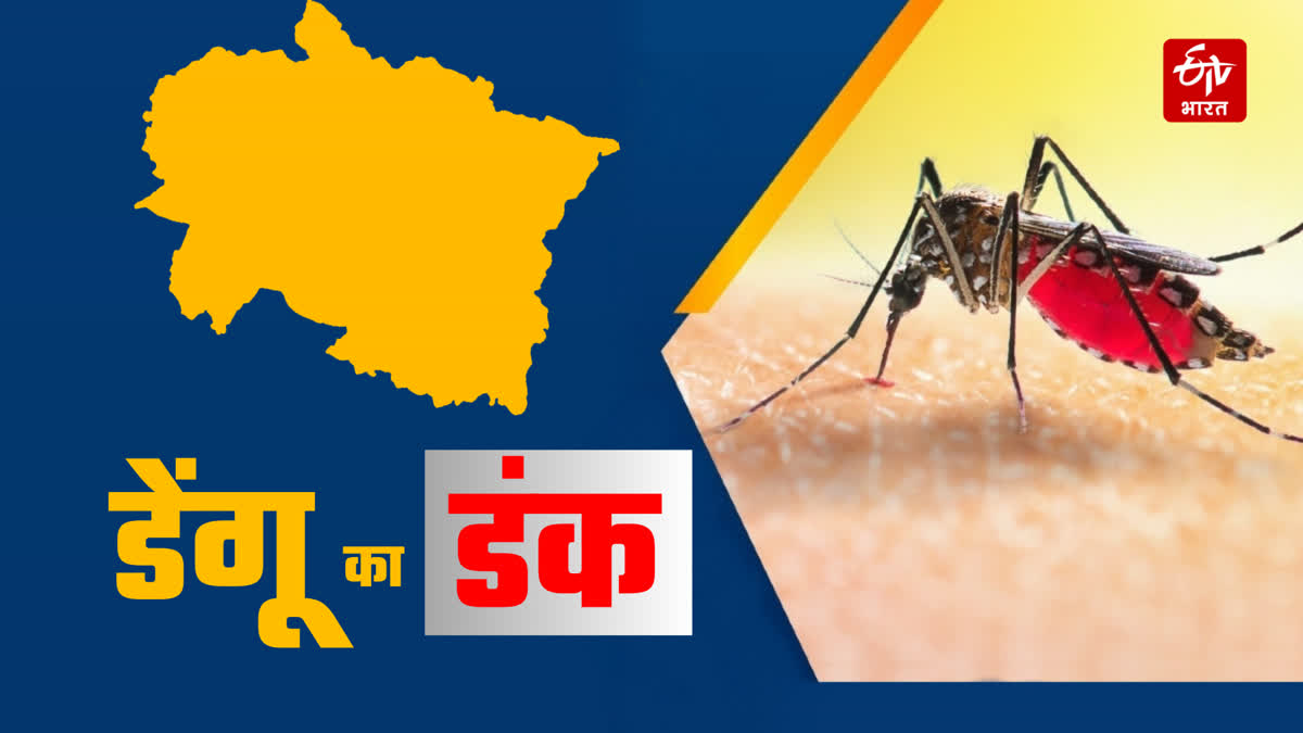 Dengue in Uttarakhand