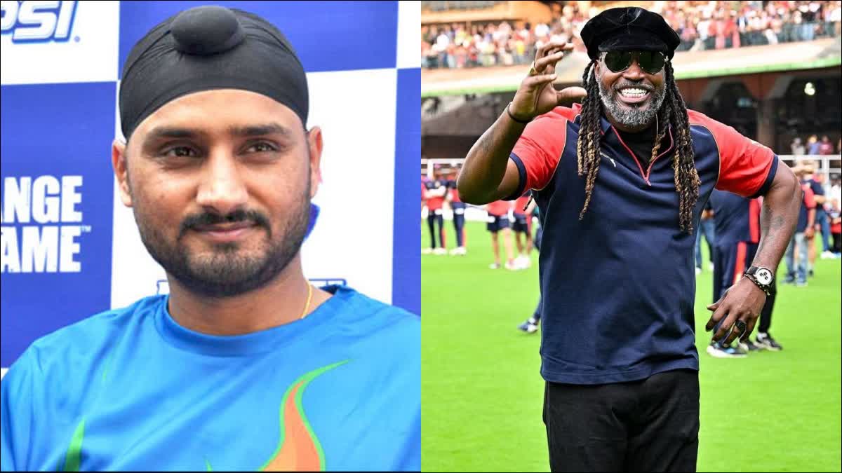 Harbhajan Singh Chris Gayle