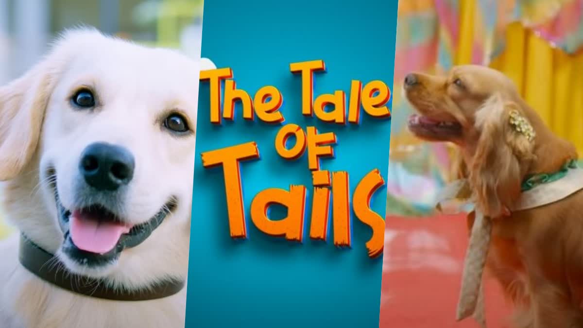 sitara  Valatty Tale of Tails Official Trailer  Valatty  Valatty Tale of Tails  Tale of Tails Official Trailer  Tale of Tails  Official Trailer  Trailer out  Trailer of Valatty Tale of Tails  വാലാട്ടി  വേറിട്ട പരീക്ഷണമായി വാലാട്ടി എത്തുന്നു  വാലാട്ടി  വാലാട്ടി ട്രെയിലർ  ട്രെയിലർ  ട്രെയിലർ പുറത്ത്  വാലാട്ടി റിലീസ് ജൂലൈ 14 ന്  വാലാട്ടി റിലീസ്  ഫ്രൈഡേ ഫിലിം ഹൗസ്  friday film house