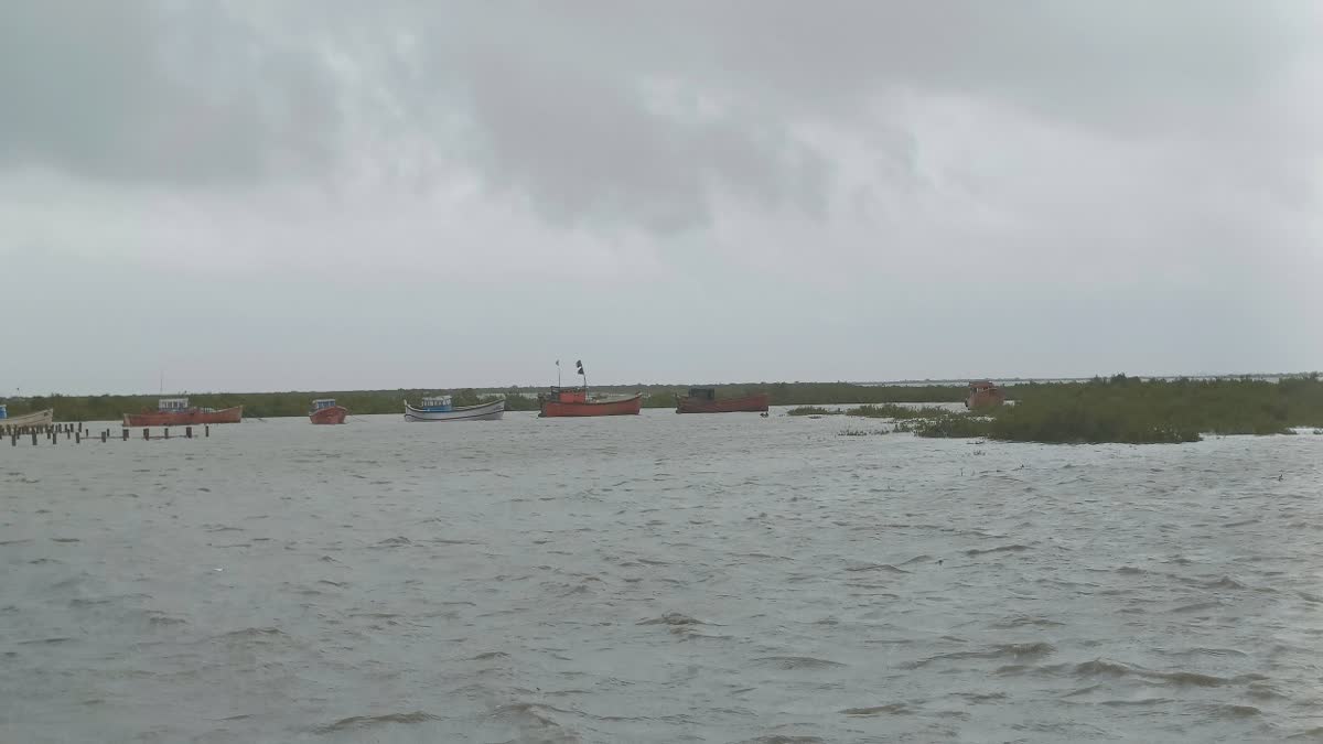 Cyclone Biparjoy :વાવાઝોડામાં નવલખી બંદરે દરિયાના મોજા ઉછળ્યા, મોરબીમાં ભારે પવન સાથે વરસાદ