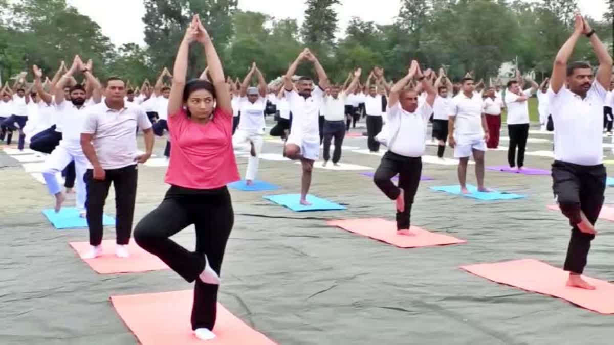 International Yoga Day