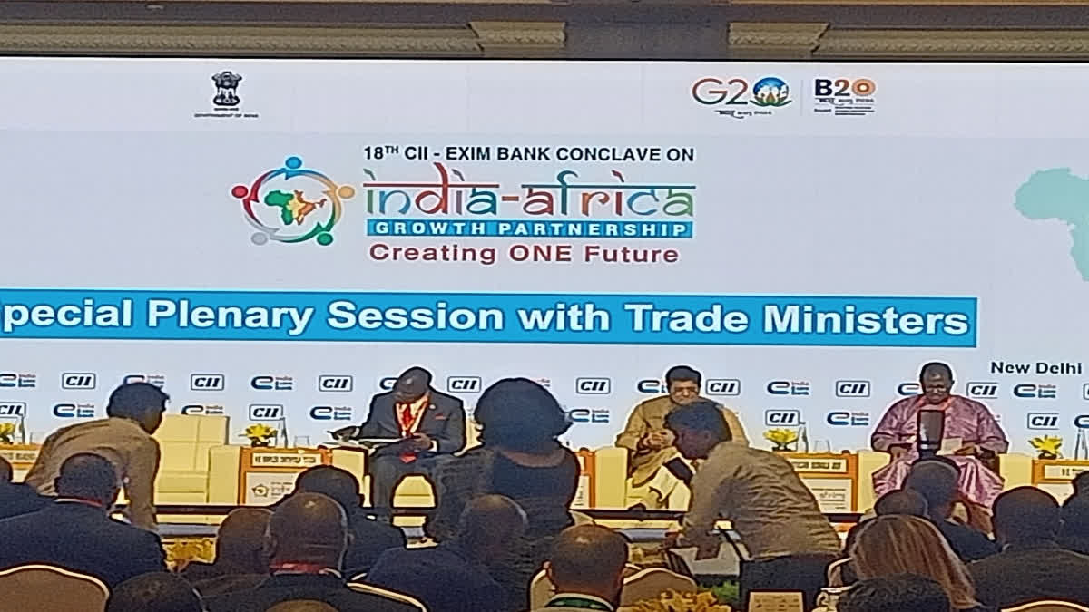 India, Africa should work together to build robust, diverse supply chains: Commerce Minister