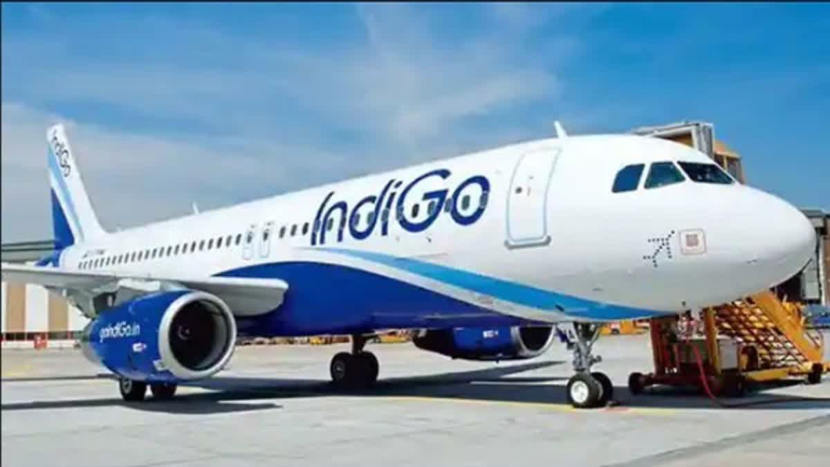 IndiGo plane