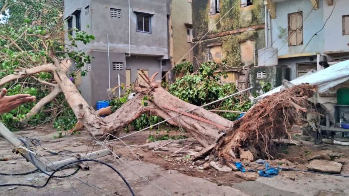 Viral videos capture natures fury as Biparjoy barrels towards Gujarat