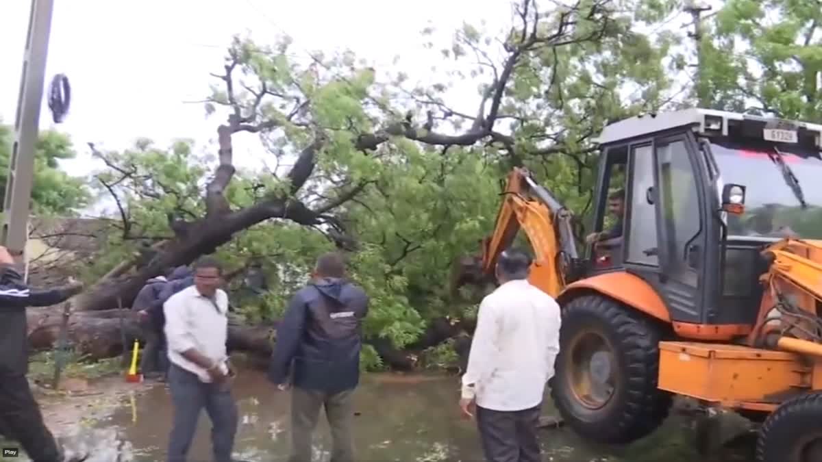 Cyclone Biparjoy landfall Impact: વાવાઝોડાનો માર, વૃક્ષો જમીનદોસ્ત અને અનેક વિસ્તારમાં અંધારપટ