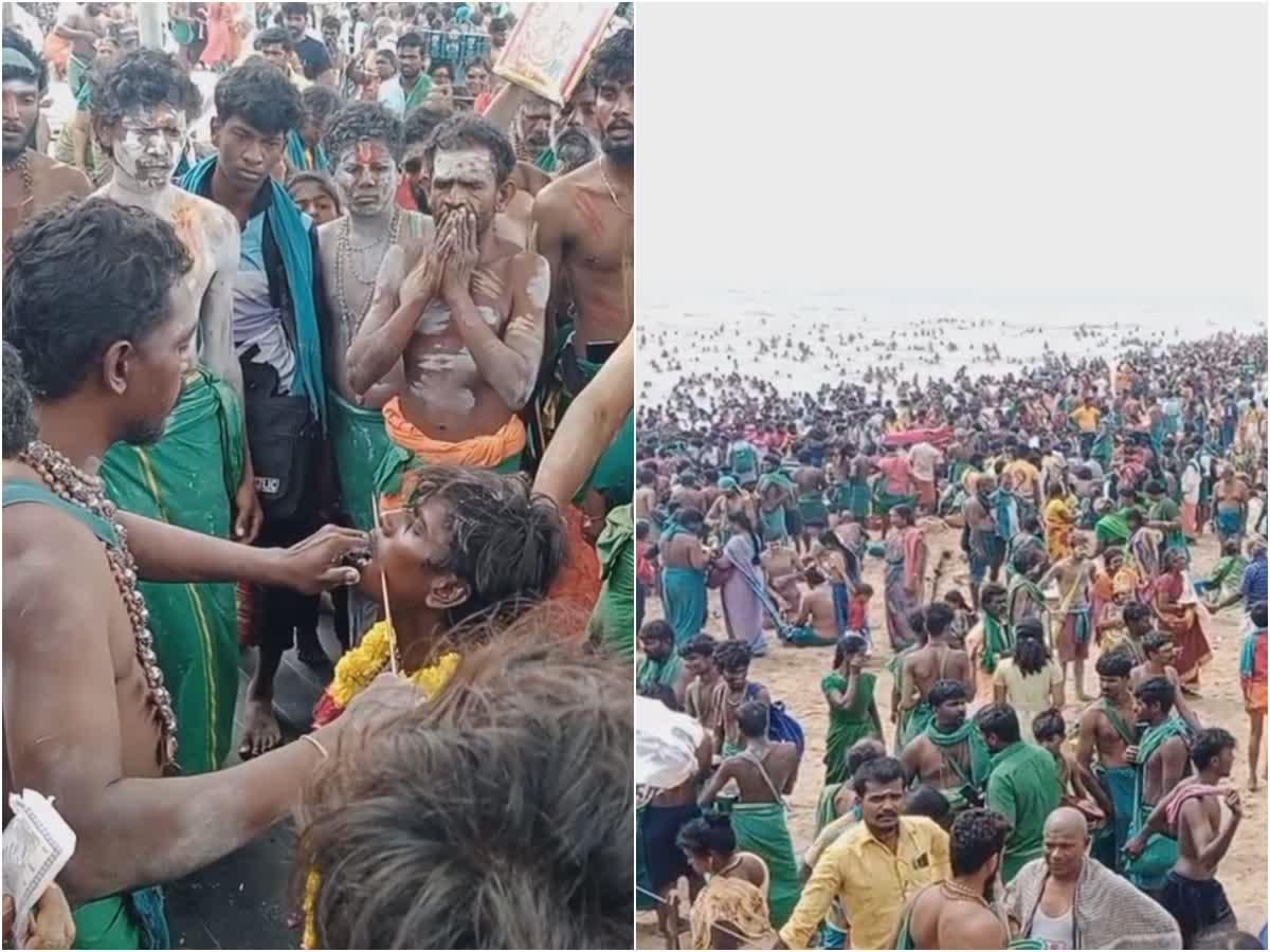 Thaipusam Festival: திருச்செந்தூர் சுப்பிரமணிய சுவாமி கோயிலில் கோலாகல கொண்டாட்டம்!, thiruchendur-subramania-swamy-temple-thaipusam-festival-celebrated