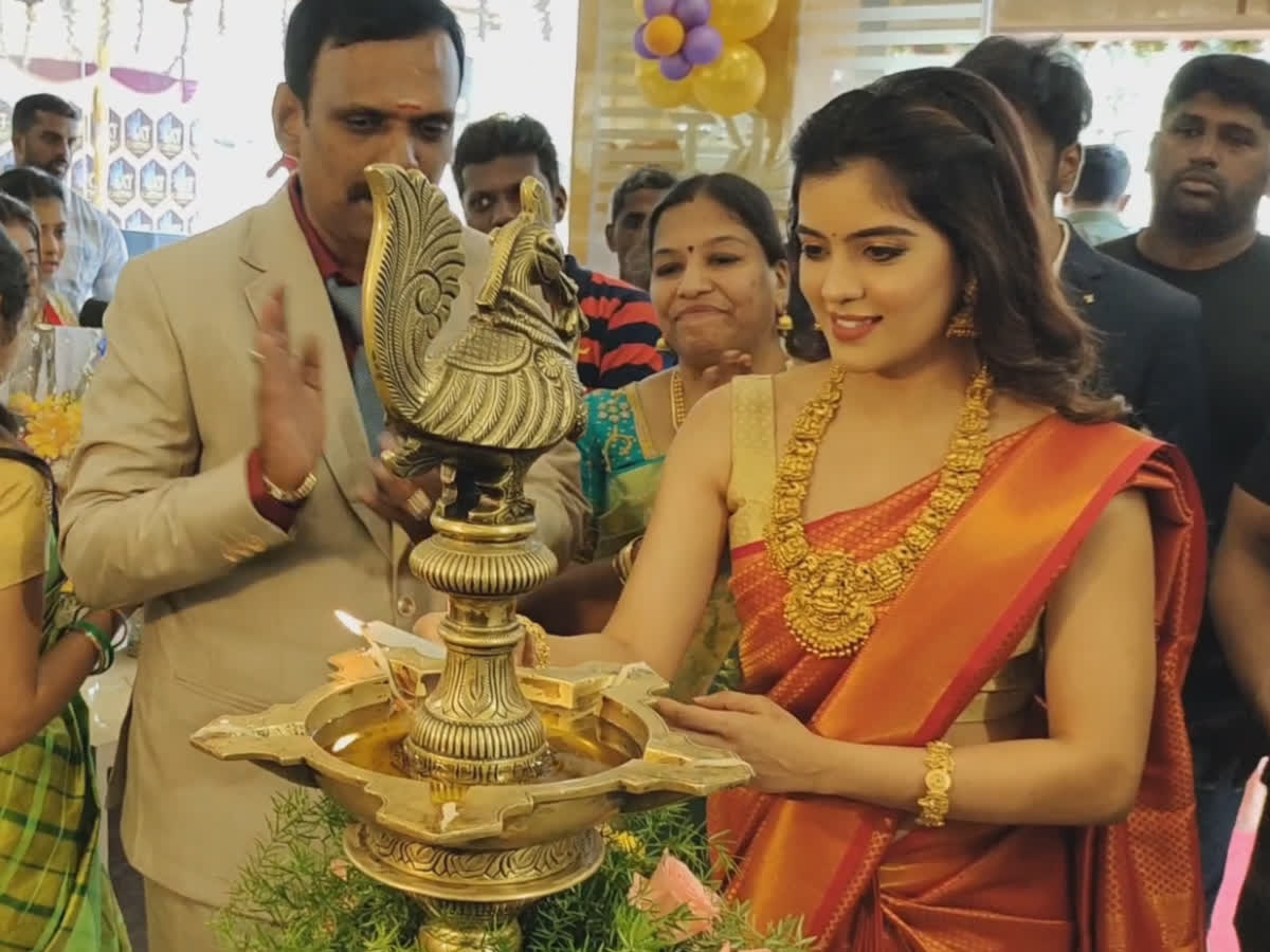 'சினிமாவில் திறமையானவர்களுக்கு வாய்ப்பு கிடைக்கும்' - நடிகை அமிர்தா ஐயர், talented-people-get-a-chance-in-cinema-said-by-actress-amritha-iyer