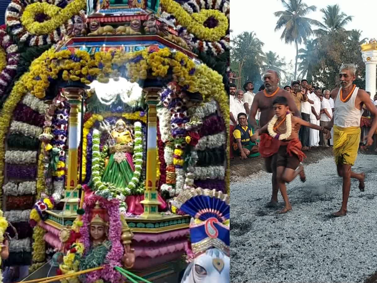 பிரசித்தி பெற்ற மாசாணியம்மன் கோயில் தீமிதி திருவிழா  கோலாகலம், masaniyamman-temple-firewalking-festival-celebrated-in-coimbatore