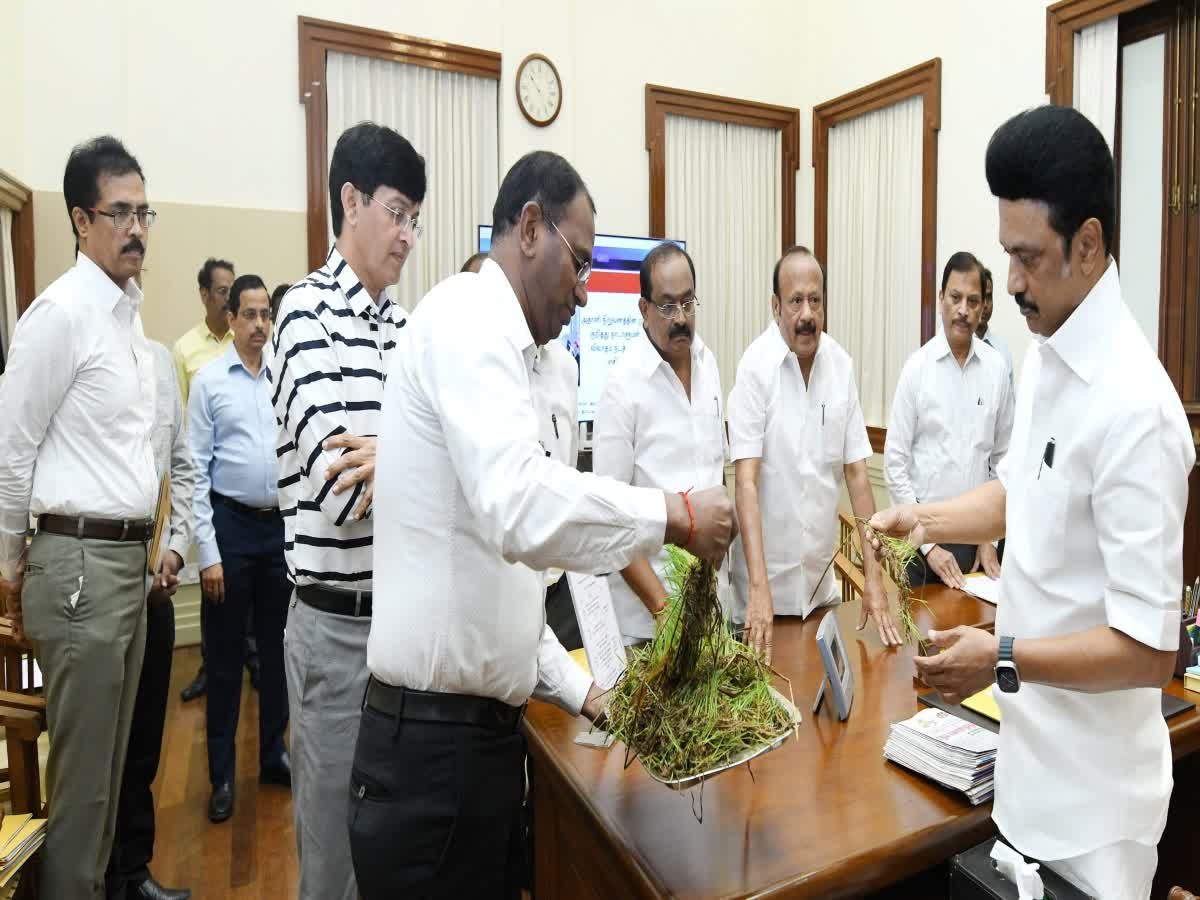 சேதமடைந்த பயிர்கள் குறித்த அறிக்கையை முதலமைச்சரிடம் சமர்ப்பித்த ஆய்வு குழு, cm-mk-stalin-meeting-regarding-the-report-on-damaged-crops-at-delta-districts