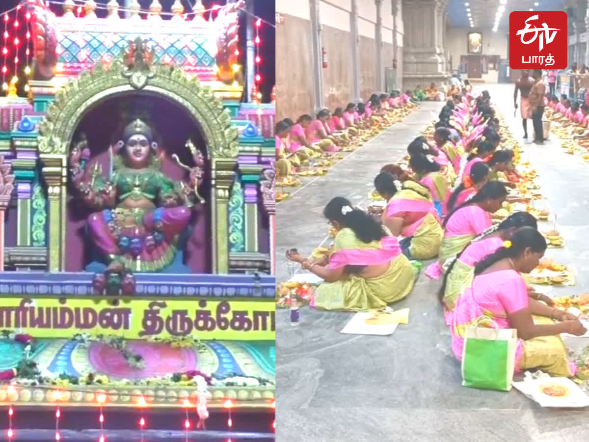 திருச்சி சமயபுரம் மாரியம்மன் கோயிலில் 108 குத்து விளக்கு பூஜை, 108-candlestick-pooja-for-pournami-at-mariamman-temple-in-trichy-samayapuram
