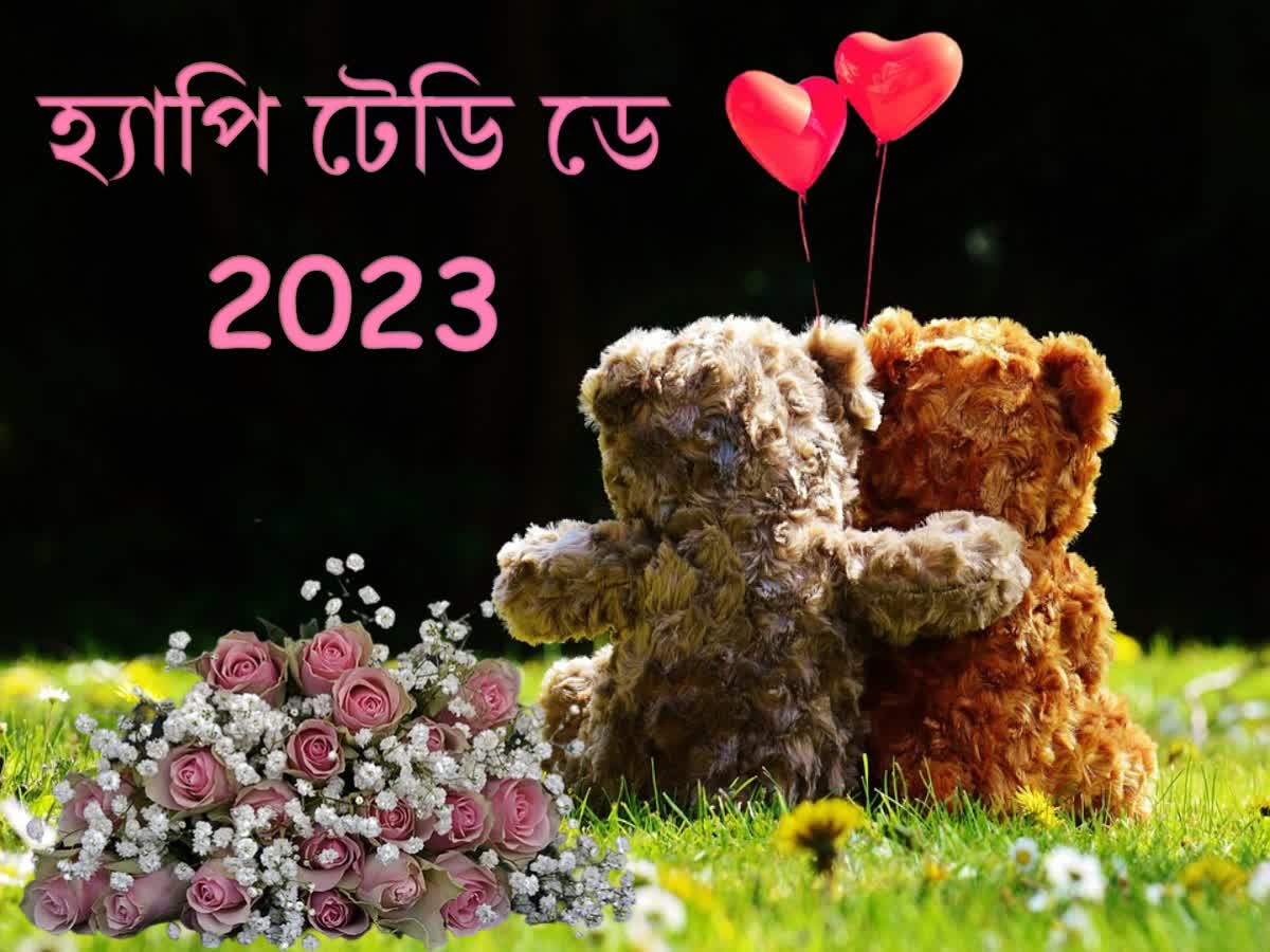 Happy Teddy Day প্রেমের সপ্তাহে সম্পর্ক হোক টেডির মতোই সুন্দর ! এই