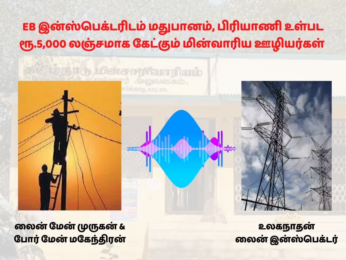EB இன்ஸ்பெக்டரிடம் மது, பிரியாணி லஞ்சம் கேட்ட மின்வாரிய ஊழியர்கள்.. வெளியான ஆடியோ!, tneb-workers-asked-the-bribe-like-liquor-briyani-to-tneb-inspector-at-vellore