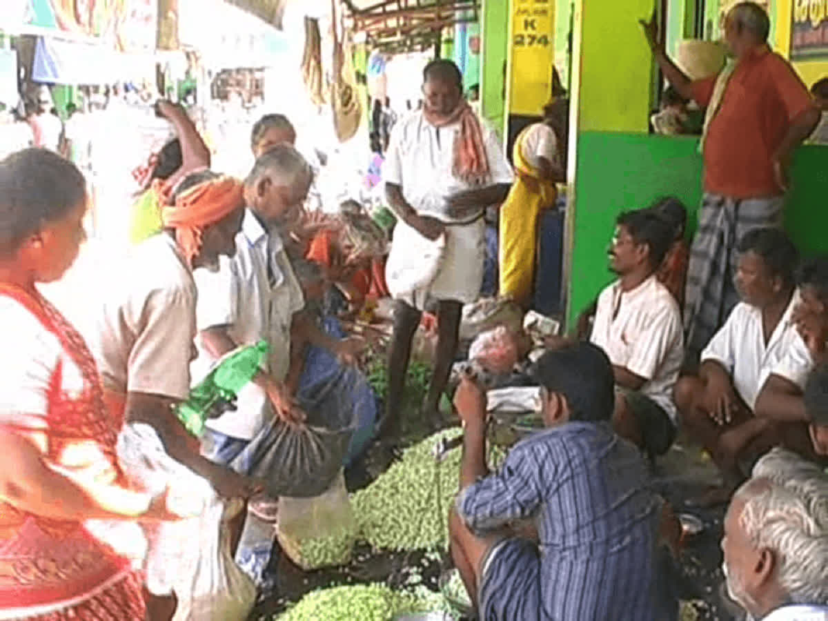 மதுரையில் ஒரு கிலோ மல்லிகை ரூ.2,500!, madurai-jasmine-is-in-short-supply-selling-at-rs-2500-per-kg