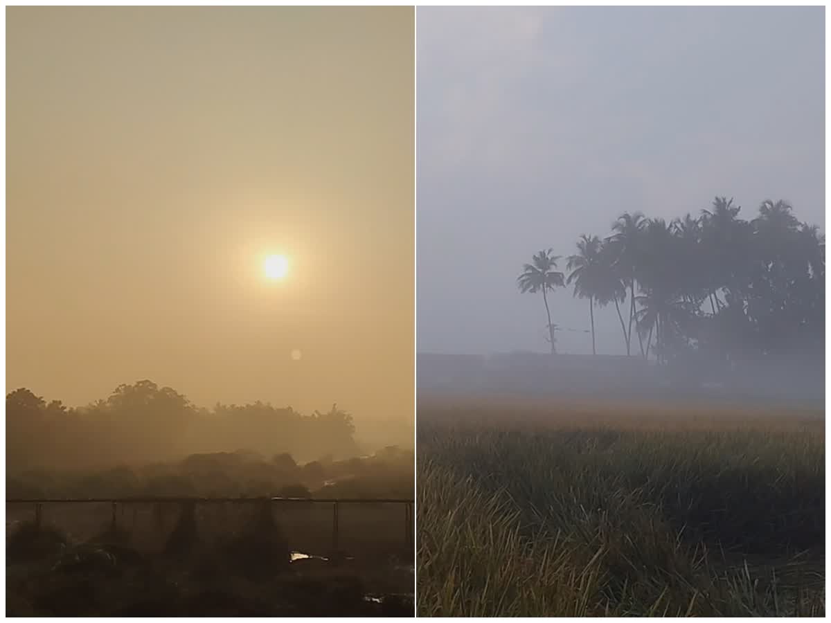 வீடியோ: தஞ்சாவூரில் பல இடங்களில் கடும் பனிமூட்டம், people-suffered-in-many-places-due-to-heavy-fog-in-the-morning-in-thanjavur