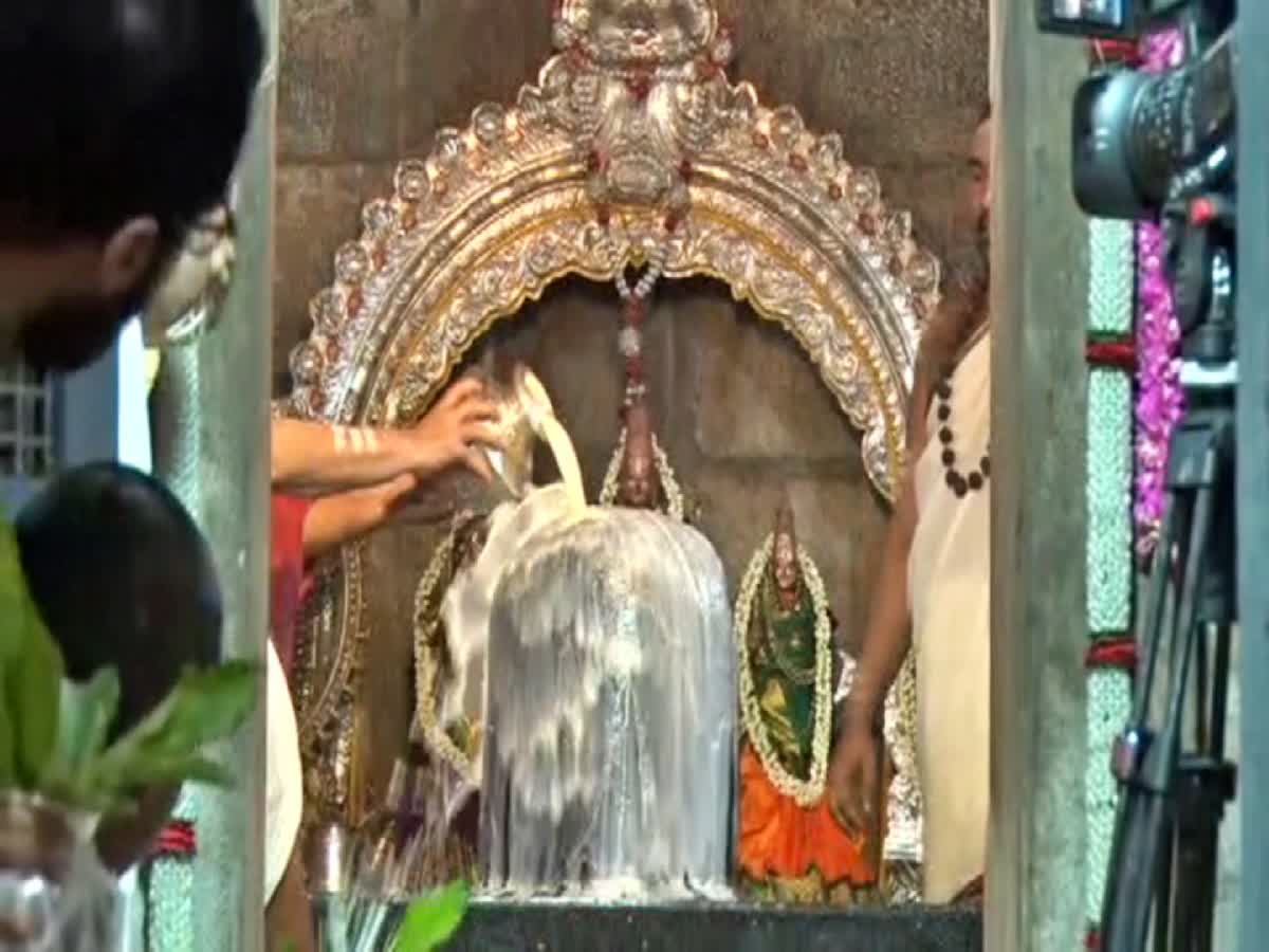 வீடியோ: சிருங்கேரி ஸ்ரீமலஹானிகரேஸ்வரர் கோயிலில் மஹா கும்பாபிஷேகம், sringeri-sri-malahanigar-eswarar-temple-kumbabishekam