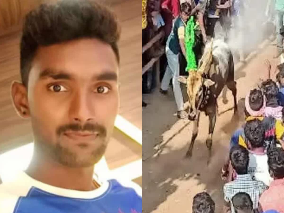 எருதுவிடும் விழாவில் காளை முட்டியதில் ராணுவ வீரர் உயிரிழப்பு!, army-man-death-on-cremation-ceremony-in-vellore