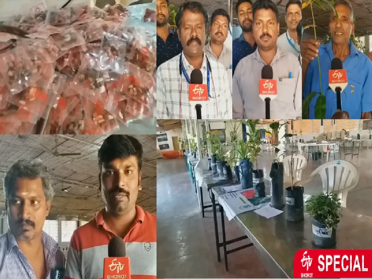 'மரமும் மனிதனும்' மதுரையில் மண்ணைக் காக்கும் மரங்கள் குறித்து கண்காட்சி!, tree-exhibition-in-madurai