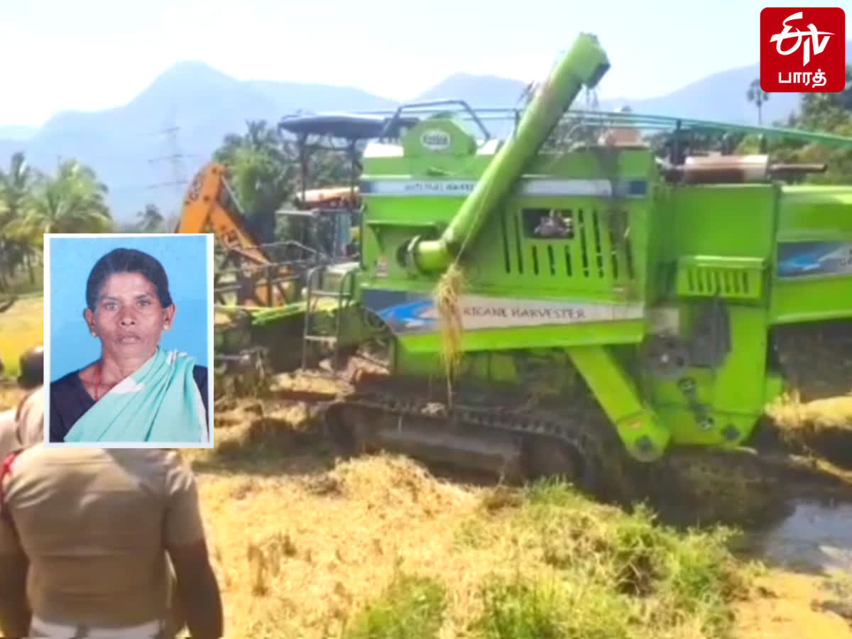 நெல் அறுவடை இயந்திரத்தில் சிக்கி மூதாட்டி பரிதாப பலி!, woman-was-trapped-in-paddy-harvester-vehicle-at-kesavapuram-near-sengottai