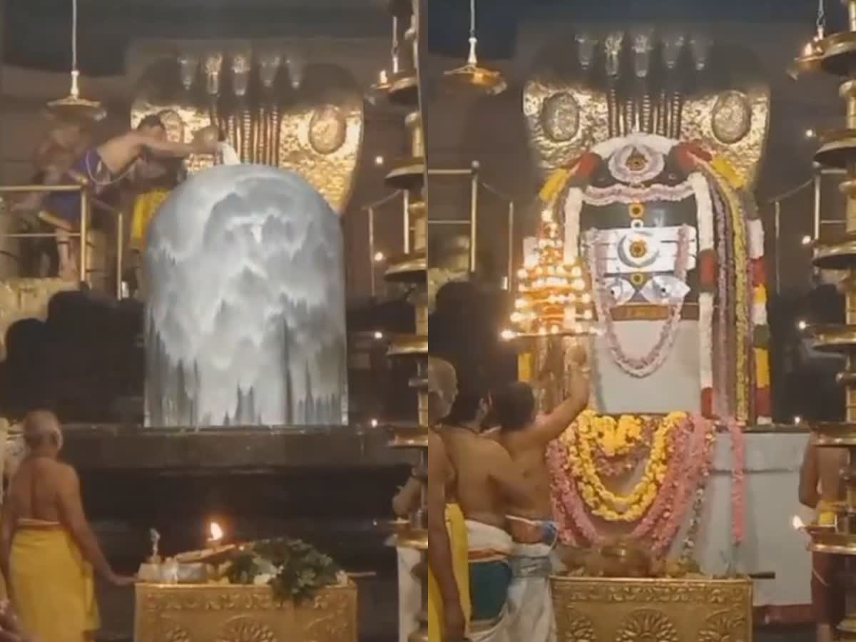 Maha shivratri: தஞ்சை பெரிய கோயிலில் விடிய விடிய நடைபெற்ற நாட்டியாஞ்சலி, full-night-abhishekam-at-tanjore-big-temple-on-the-eve-of-shivaratri