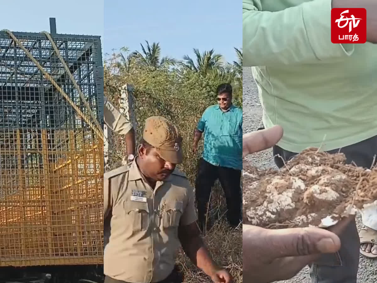 நாமக்கல் To கரூர் இடம் பெயர்ந்ததா சிறுத்தை? பீதியில் மக்கள், namakkal-to-karur-tiger-moved-people-in-panic