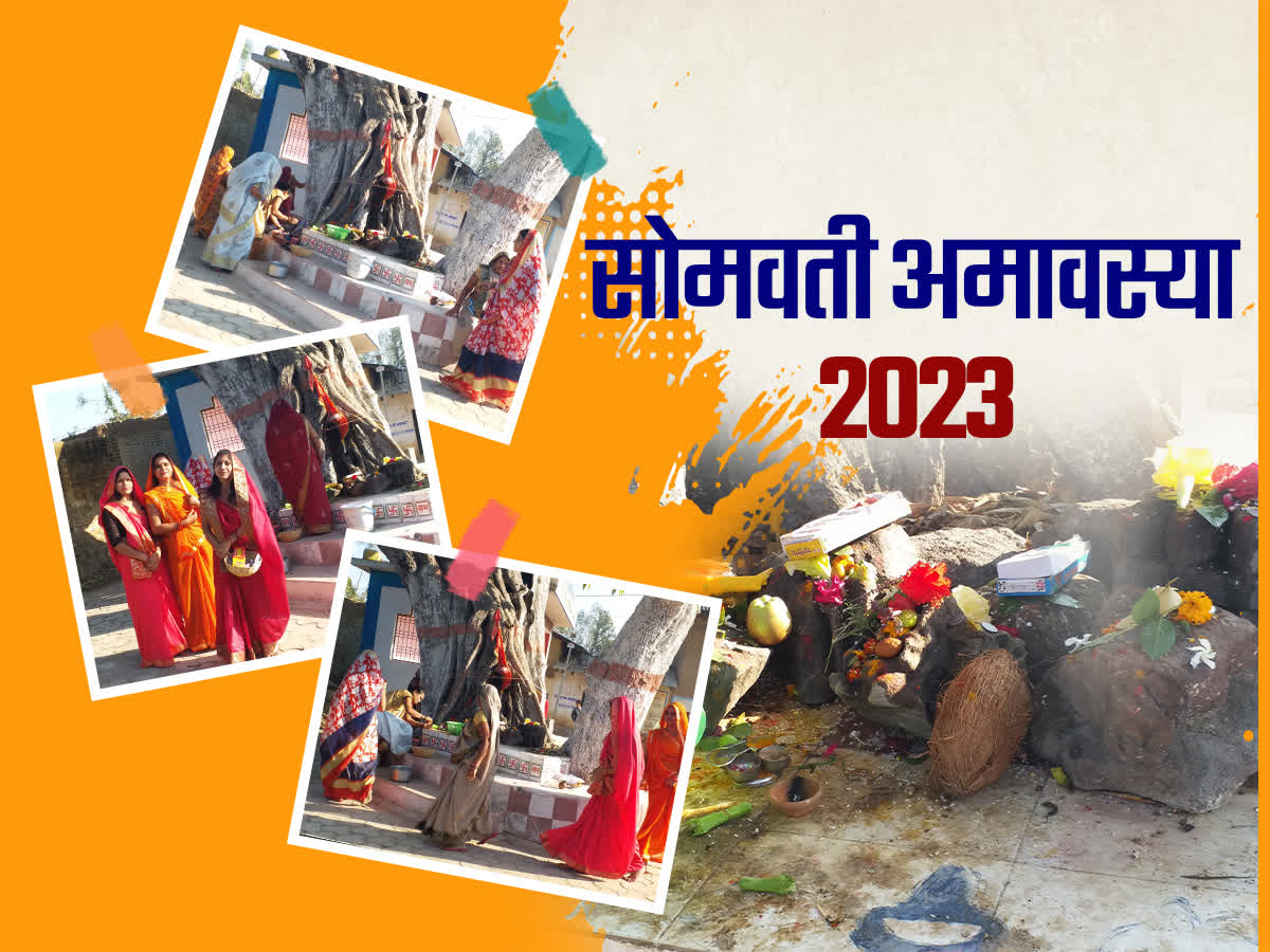 Somvati Amavasya 2023: महिलाओं ने की वट वृक्ष की पूजा, सूत का धागा ...