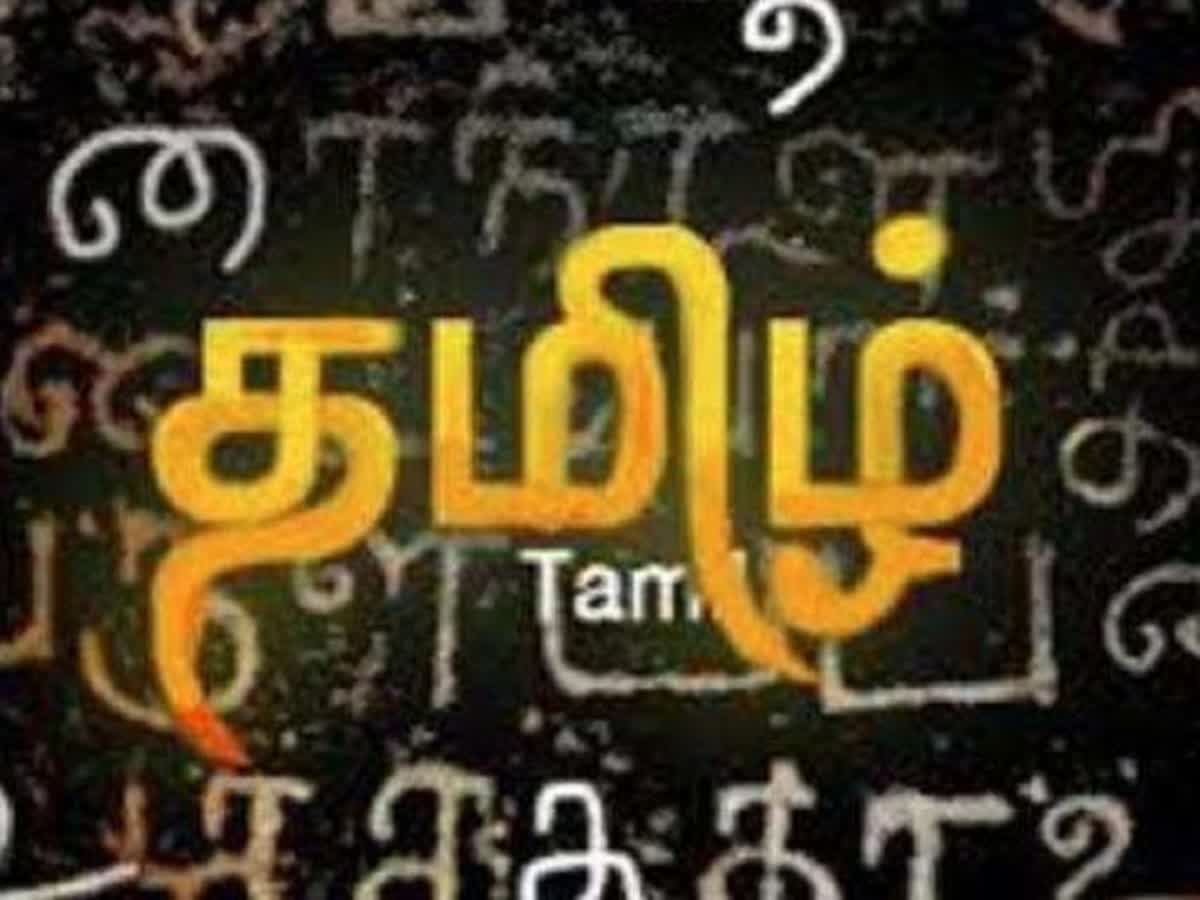 தாய்மொழி தினம் 2023: பன்மொழிக் கல்வியின் அவசியத்தை வலியுறுத்தும் யுனெஸ்கோ!, international-mother-language-day-2023-multilingual-education-a-necessity-to-transform-education