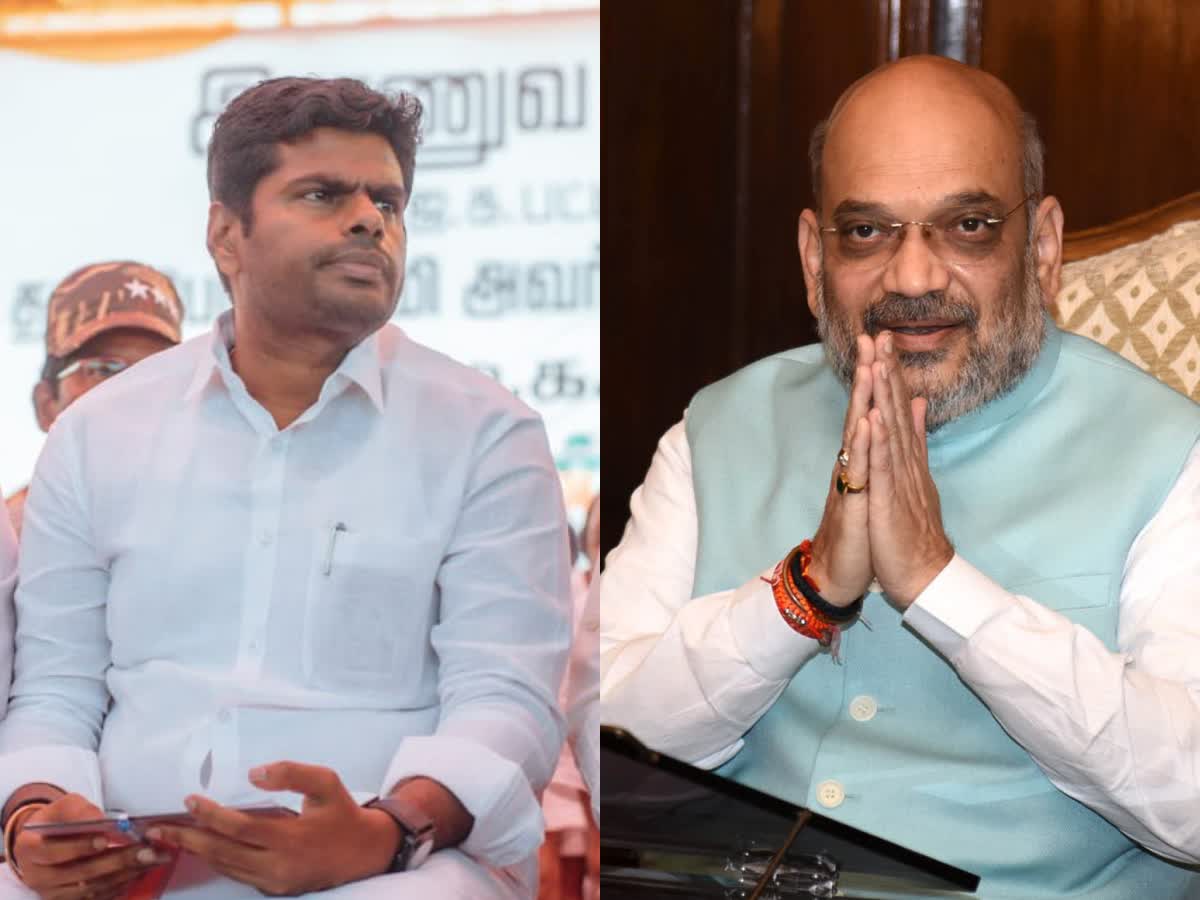 அமித்ஷாவை சந்திக்க டெல்லி செல்கிறார் அண்ணாமலை?, annamalai-going-to-delhi-to-meet-central-minister-amit-shah