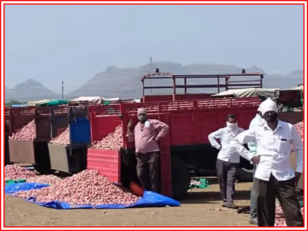 Onion Farmers In Trouble रास्त भाव मिळत नसल्यामुळे कांदा उत्पादक