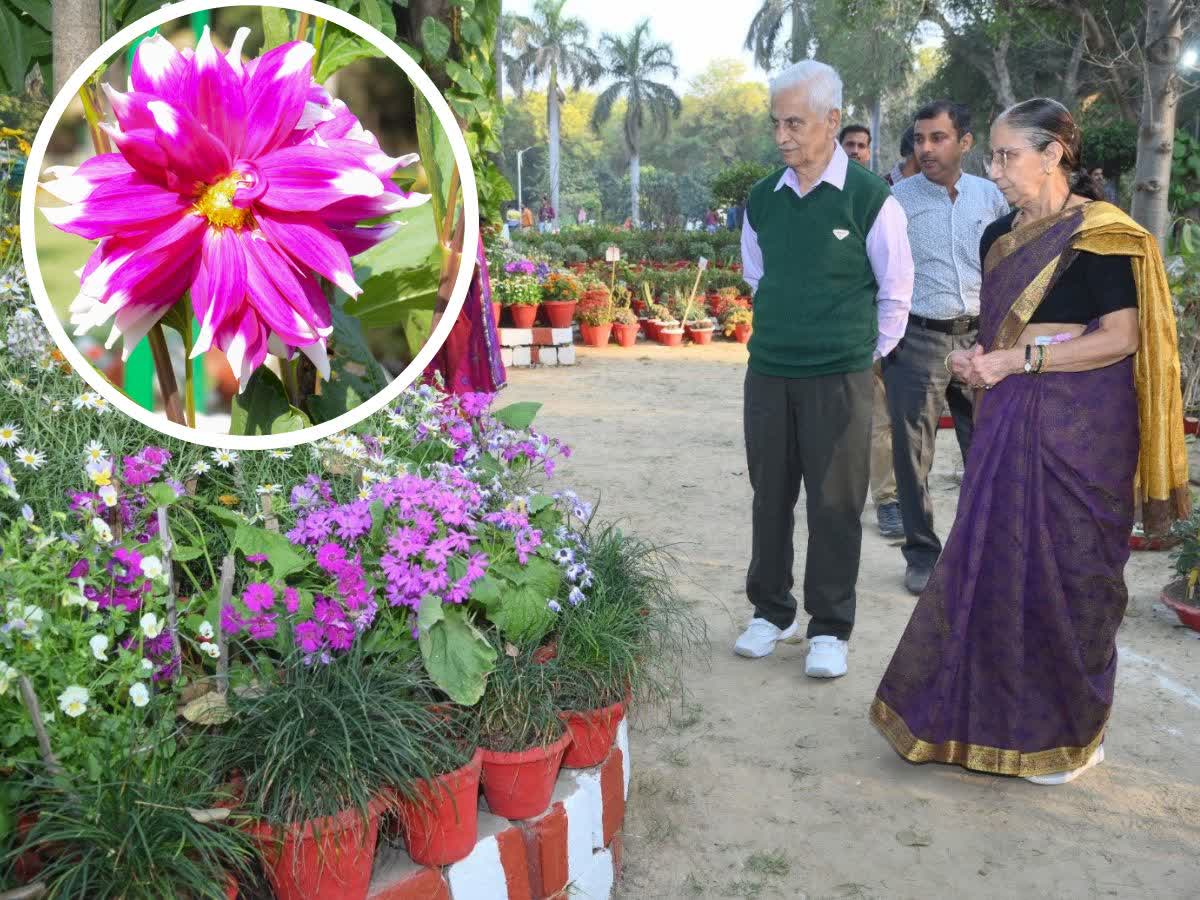 IIT Kanpur news बगिया के रंगबिरंगे फूलों ने जीता दिल, मिला इनाम