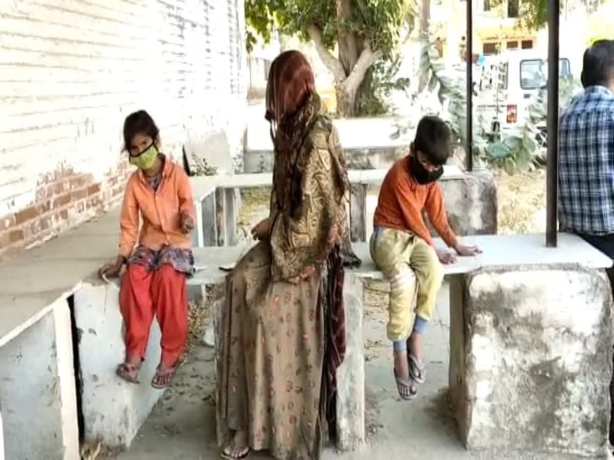 Stray Dogs Kills Newborn राजस्थान के सिरोही में आवारा कुत्तों का आतंक