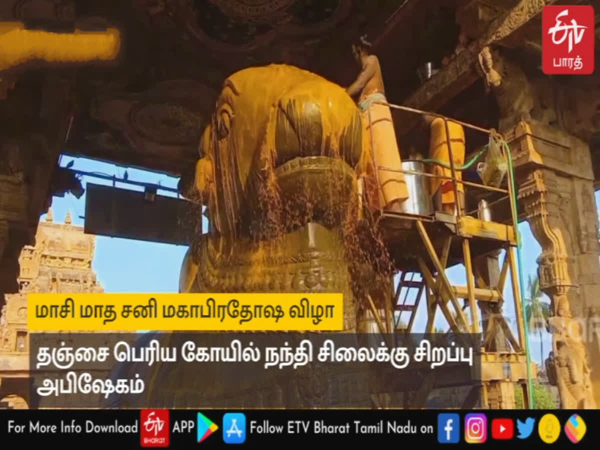 தஞ்சை பெரிய கோயிலில் சனி மகா பிரதோஷம் விழா   ஆயிரக்கணக்கான பக்தர்கள் சாமி தரிசனம், thanjavur big temple maha sani pradosham festival