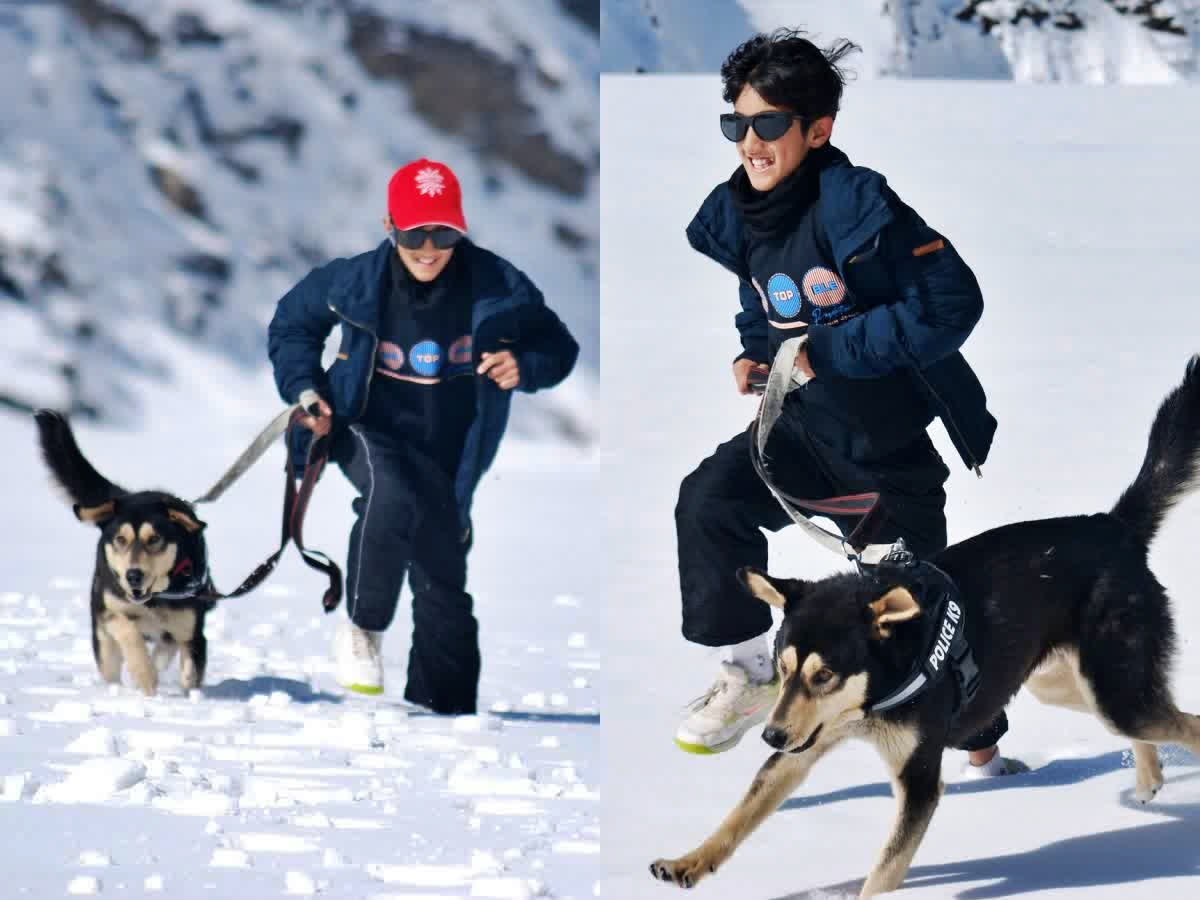 Himachal Pradesh: Sissu in Lahaul Spiti to hold country's first Snow Dog Race, dog race to begin in himachal pradeshs lahaul spiti Himachal Pradesh: Sissu in Lahaul Spiti to hold country's first Snow Dog Race, dog race to begin in himachal pradeshs lahaul spiti