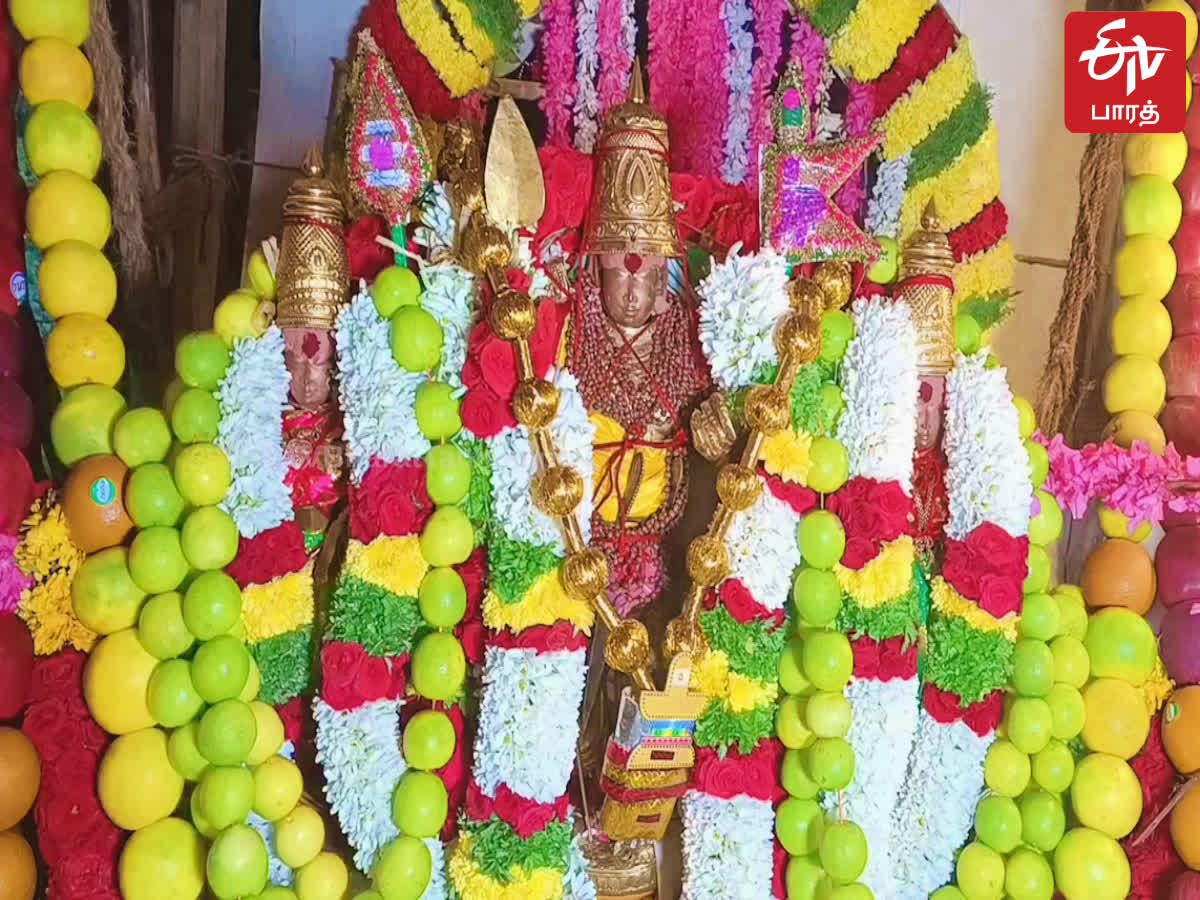 Masi Thiruvizha திருச்செந்தூரில் களைக்கட்டிய மாசித் திருவிழா தேரோட்டம்