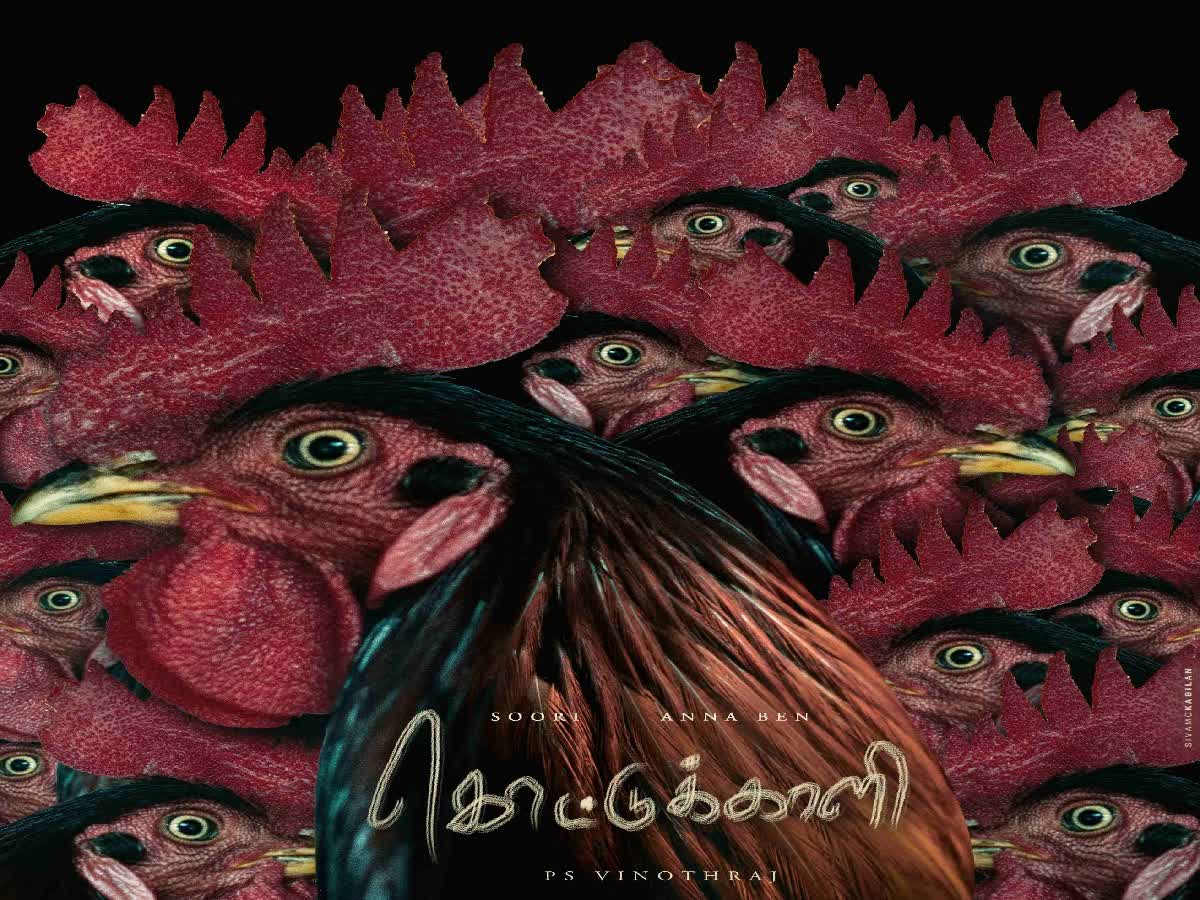 SK தயாரிப்பில் மீண்டும் ஹீரோவாக களமிறங்கும் சூரி..., suri is back as a hero in sk production for kottukkaali movie