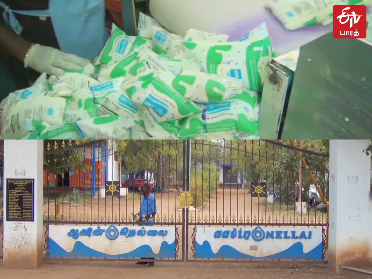 ஆவின் பால் பாக்கெட்டுகளை திருடி ஆவின் வண்டியிலேயே விற்ற நால்வர் கைது!, 4 arrested for tirunelveli aavin milk packets stealing and selling