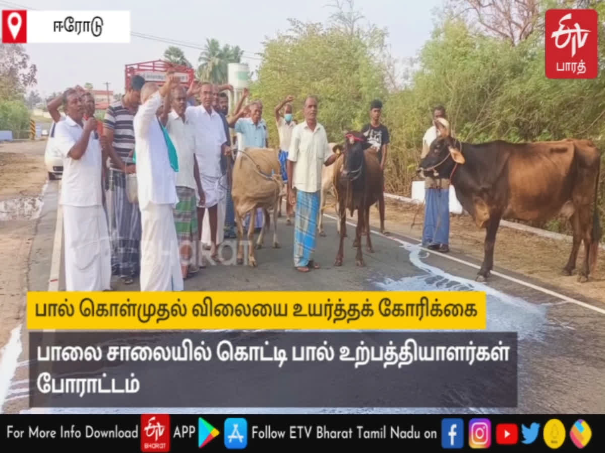தமிழ்நாடு முழுவதும் பாலை தரையில் ஊற்றி போராட்டம்!, protest in erode by pouring milk road demanding increase in purchase price of milk