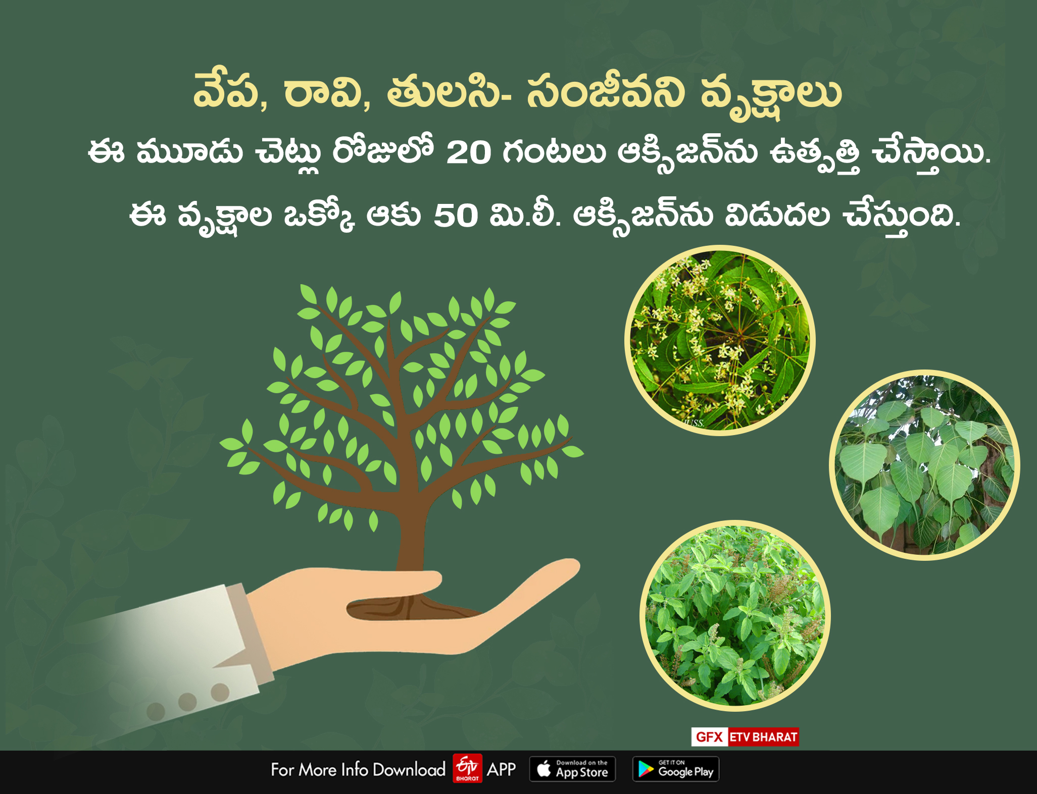 World Environment Day