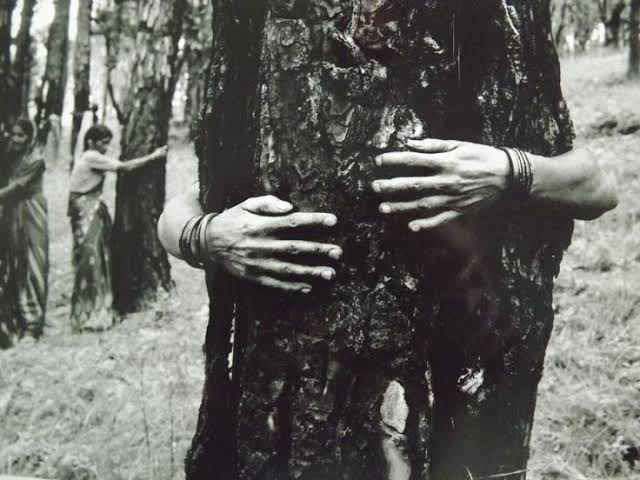 chipko movement