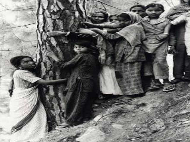 chipko movement