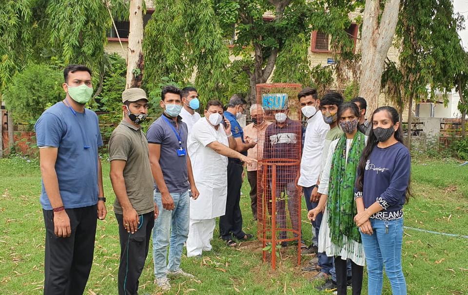 MPPG कॉलेज उद्यान में पौधे लगाए, Planted saplings in MPPG college garden